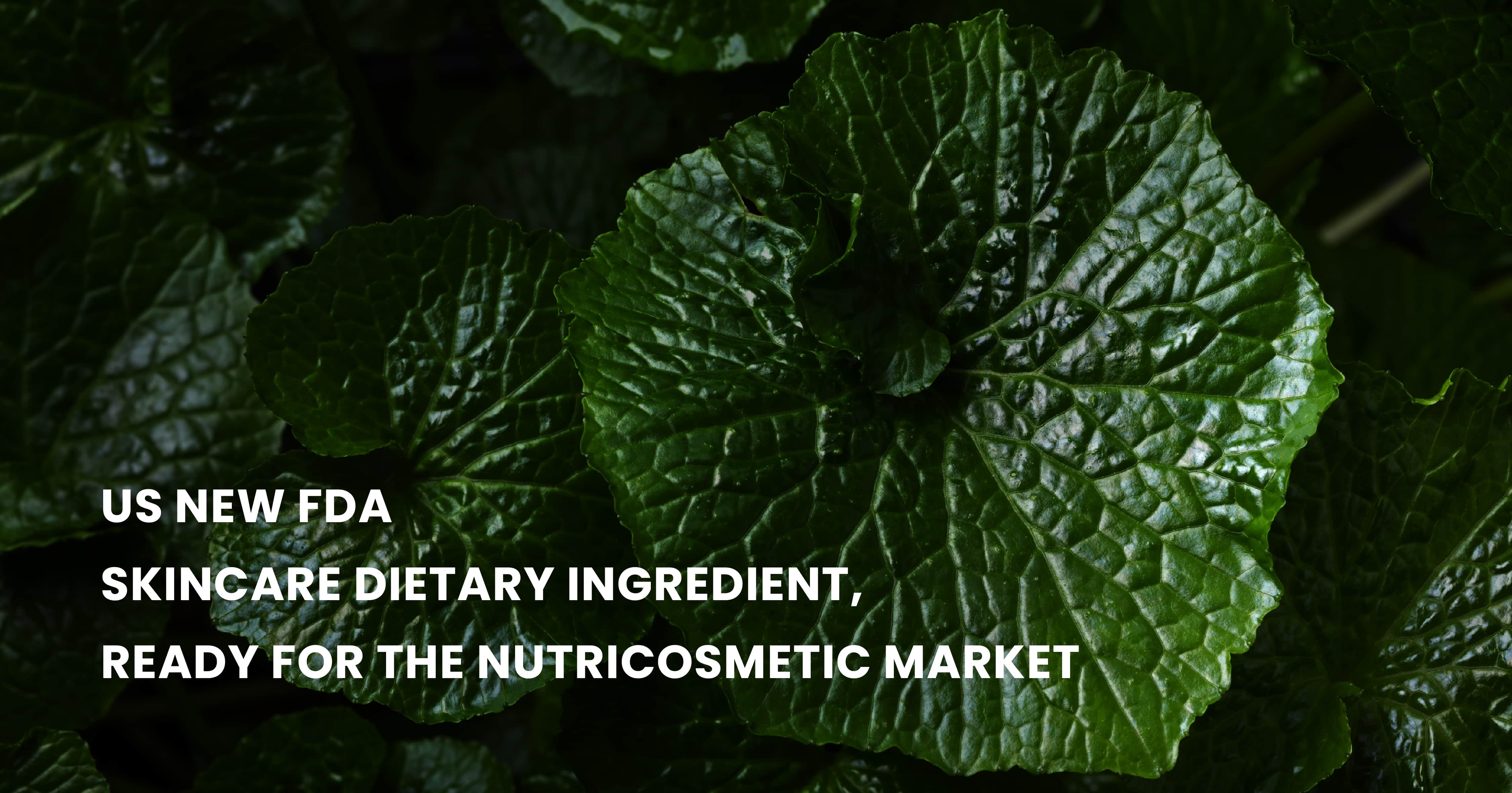 FDA更新了一份保健食品市场法规准则
